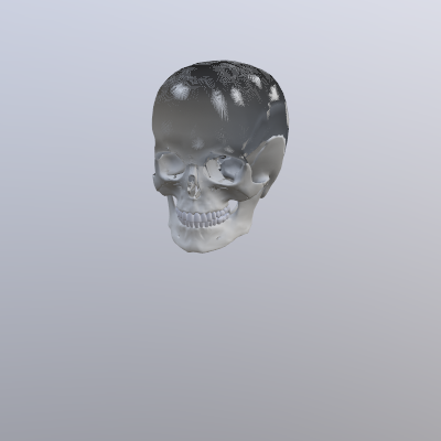 3D Skull